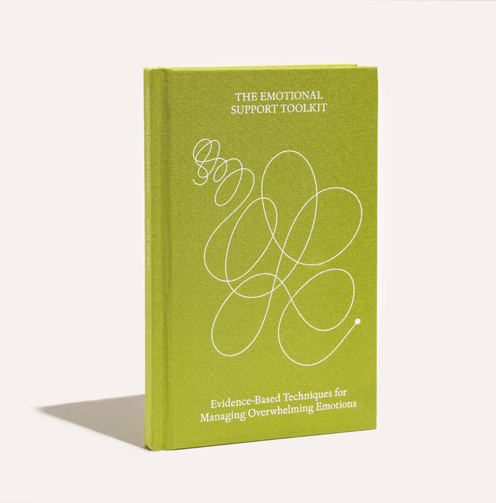 Therapy Notebooks the emotional support  toolkit