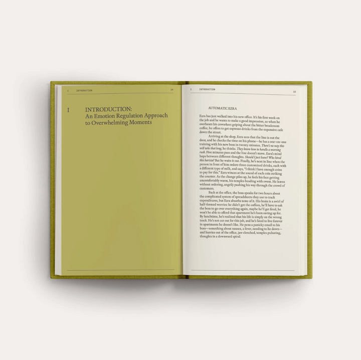 Therapy Notebooks the emotional support  toolkit