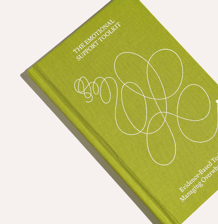 Therapy Notebooks the emotional support  toolkit