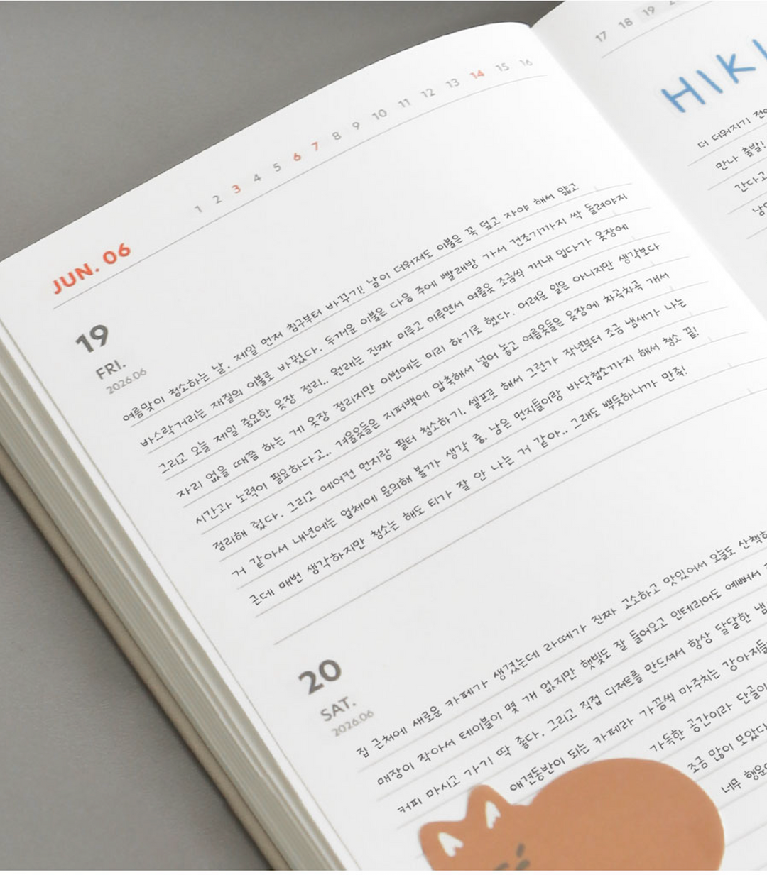 Iconic Brilliant daily planner 2026