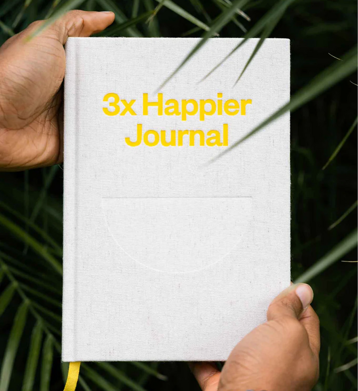 Intelligent Change – 3 x Happier Journal 