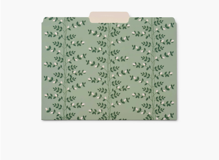 Rifle paper Co