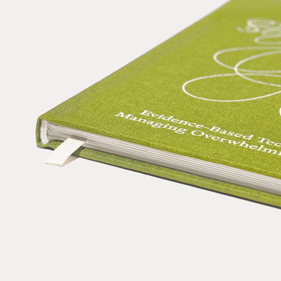 Therapy Notebooks the emotional support  toolkit