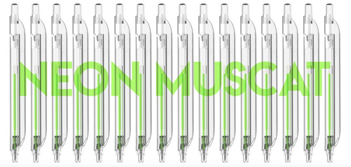 Clipen – Neon Muscat – Dos repuestos para bolígrafo 0,7 mm Verde Neón